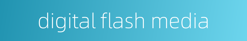 digital flash media的同义词