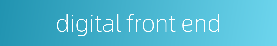 digital front end的同义词