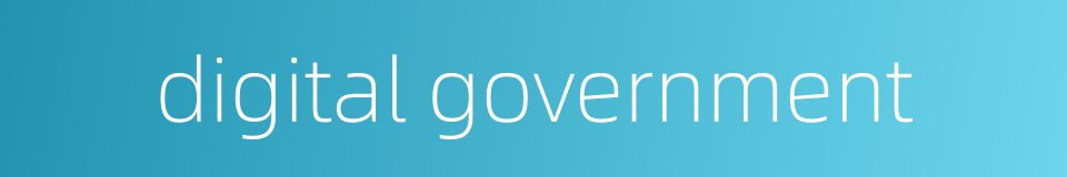 digital government的同义词