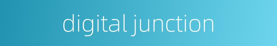 digital junction的同义词