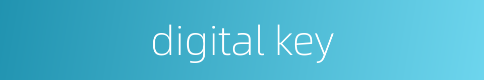 digital key的同义词
