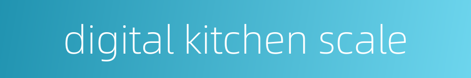 digital kitchen scale的同义词