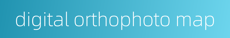 digital orthophoto map的同义词