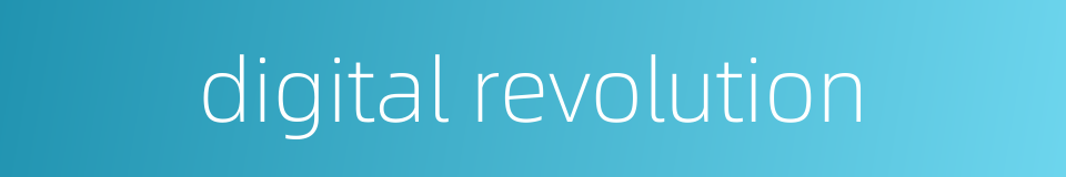 digital revolution的同义词