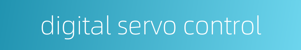 digital servo control的同义词