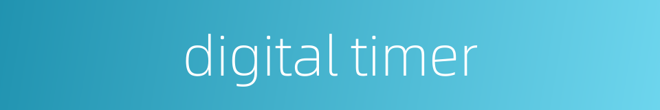 digital timer的同义词