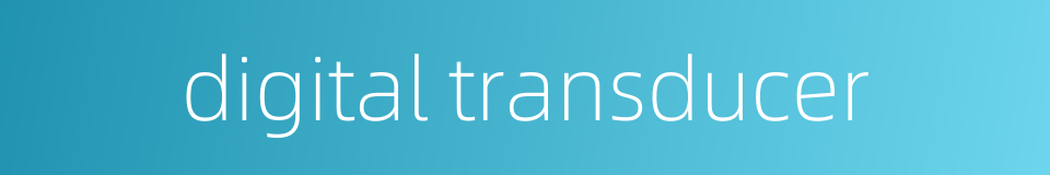 digital transducer的同义词