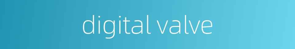 digital valve的同义词