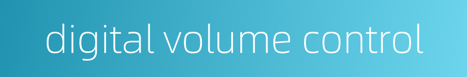 digital volume control的同义词