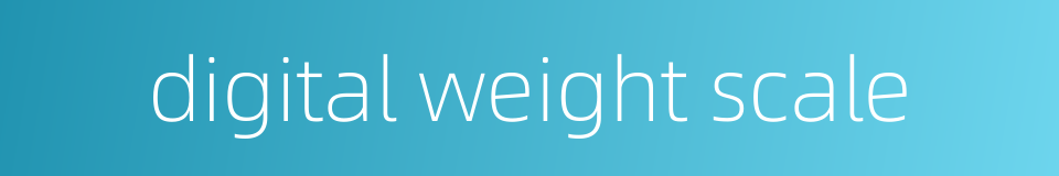 digital weight scale的同义词