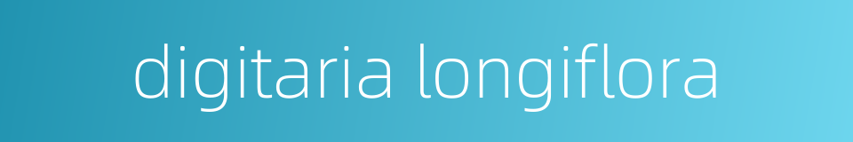 digitaria longiflora的同义词