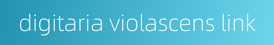 digitaria violascens link的同义词