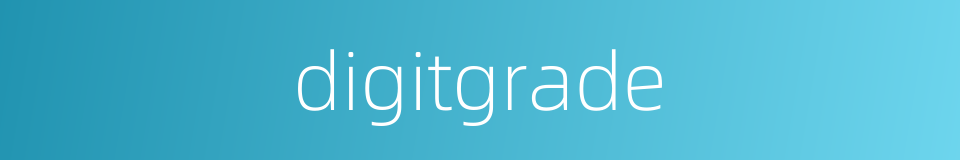 digitgrade的同义词