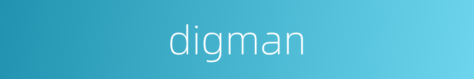digman的同义词