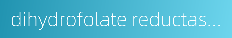 dihydrofolate reductase inhibitors的同义词