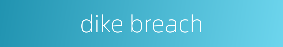 dike breach的同义词