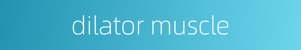 dilator muscle的同义词