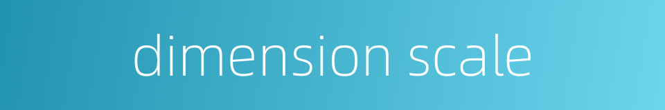 dimension scale的同义词