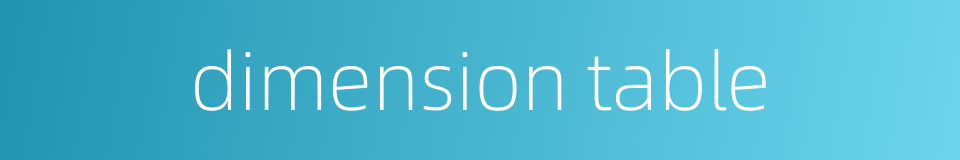 dimension table的同义词