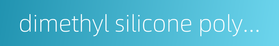 dimethyl silicone polymer的同义词