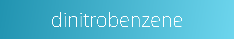dinitrobenzene的同义词