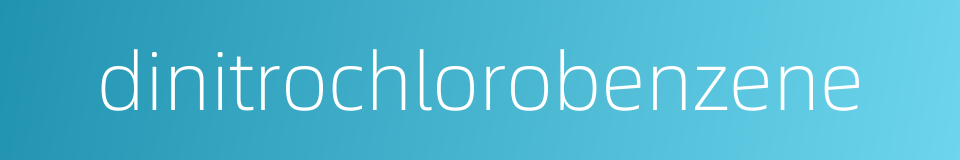 dinitrochlorobenzene的同义词