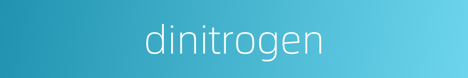 dinitrogen的同义词