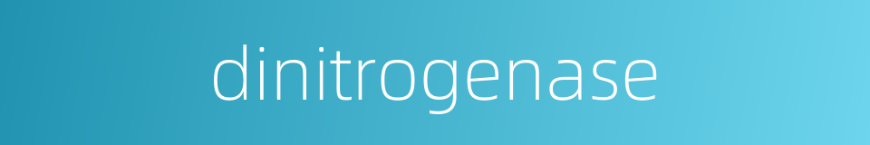 dinitrogenase的同义词