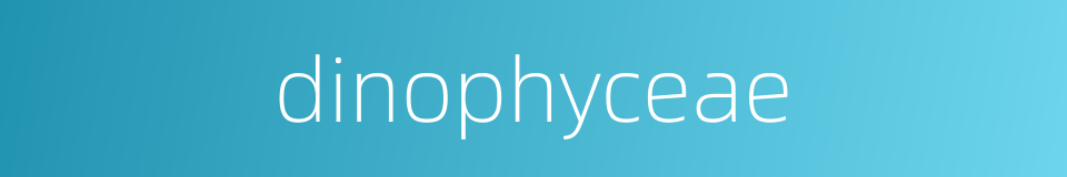 dinophyceae的同义词