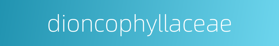 dioncophyllaceae的同义词