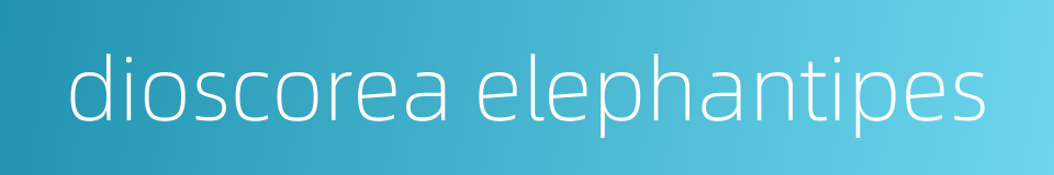 dioscorea elephantipes的同义词