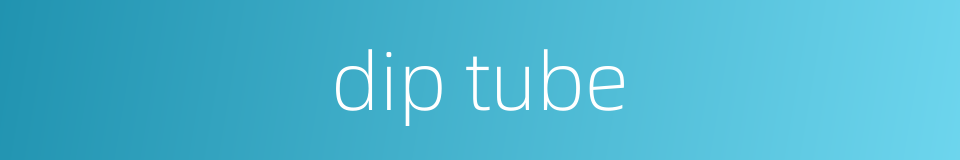 dip tube的同义词
