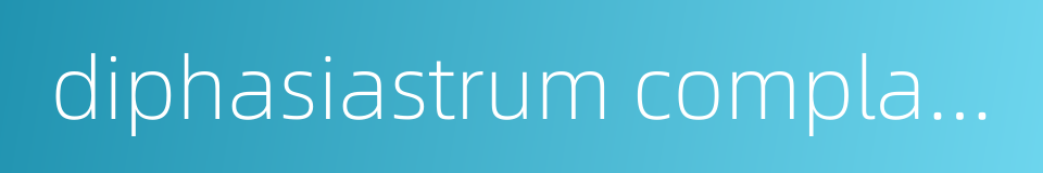 diphasiastrum complanatum的同义词