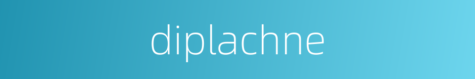 diplachne的同义词