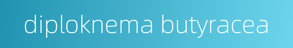 diploknema butyracea的同义词