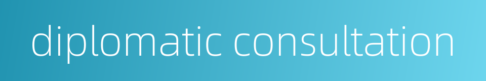 diplomatic consultation的同义词