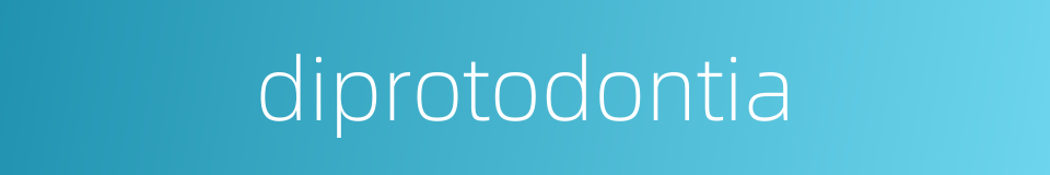 diprotodontia的同义词
