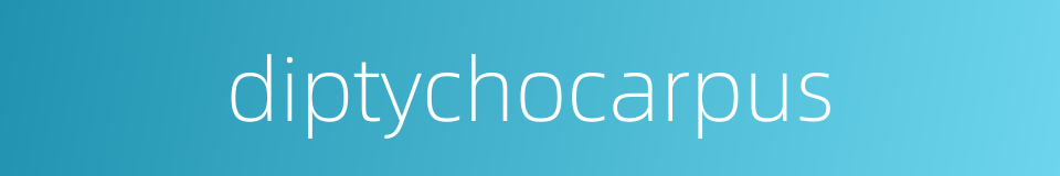 diptychocarpus的同义词