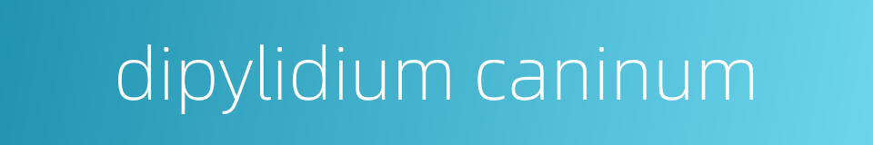 dipylidium caninum的同义词