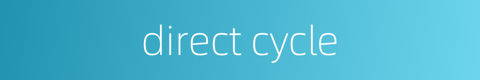 direct cycle的同义词