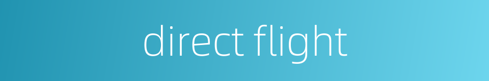 direct flight的同义词