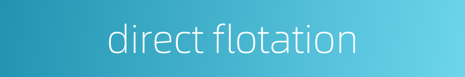 direct flotation的同义词