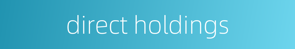 direct holdings的同义词