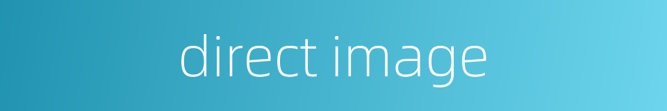 direct image的同义词