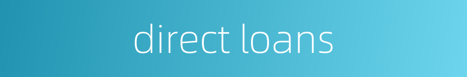 direct loans的同义词