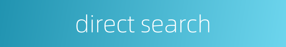 direct search的同义词