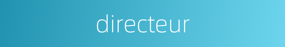 directeur的同义词