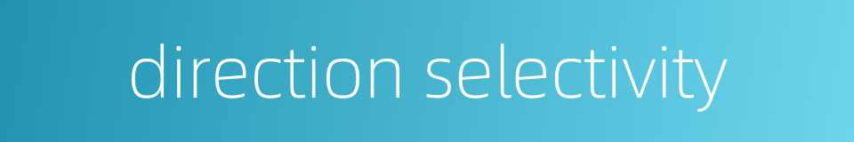 direction selectivity的同义词
