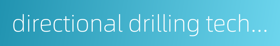 directional drilling technique的同义词