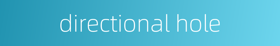 directional hole的同义词